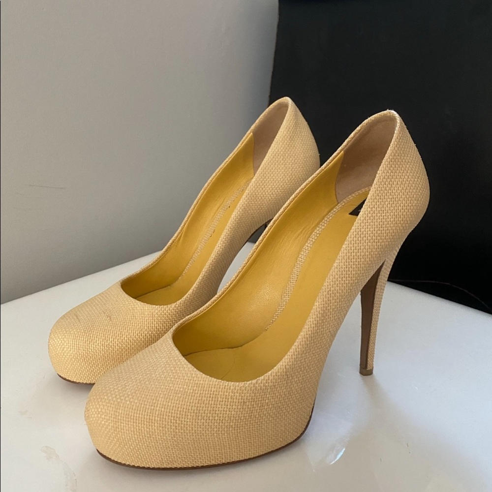 D&g pumps